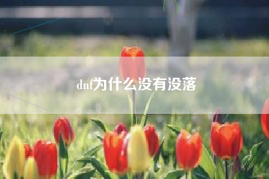 dnf为什么没有没落