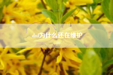 dnf为什么还在维护