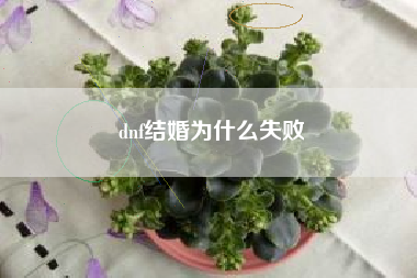 dnf结婚为什么失败