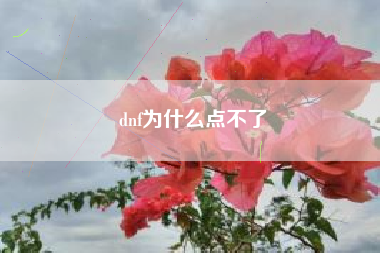 dnf为什么点不了