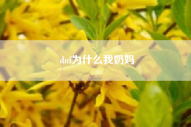 dnf为什么我奶妈