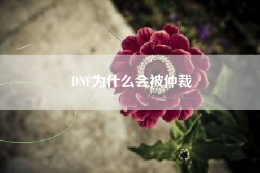 DNF为什么会被仲裁