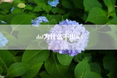 dnf为什么不出sao