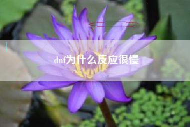 dnf为什么反应很慢