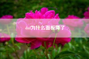 dnf为什么面板降了