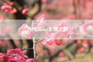 为什么dnf全屏之后