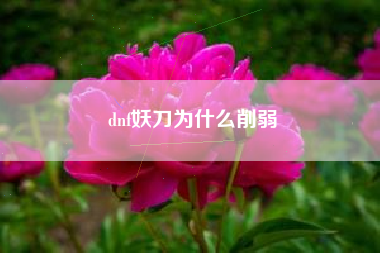 dnf妖刀为什么削弱