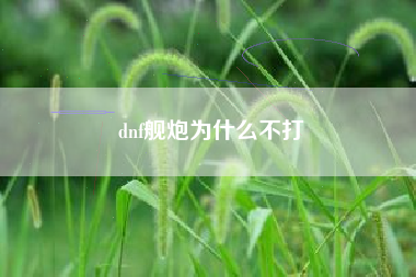 dnf舰炮为什么不打