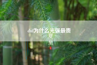 dnf为什么光强最贵