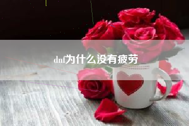 dnf为什么没有疲劳