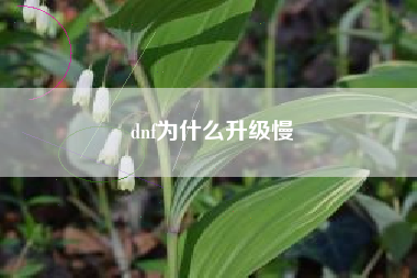 dnf为什么升级慢