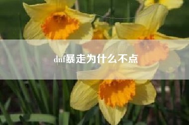 dnf暴走为什么不点