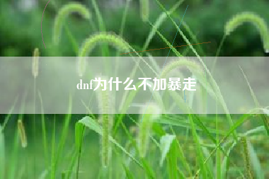 dnf为什么不加暴走