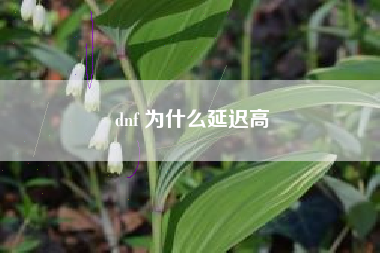 dnf 为什么延迟高