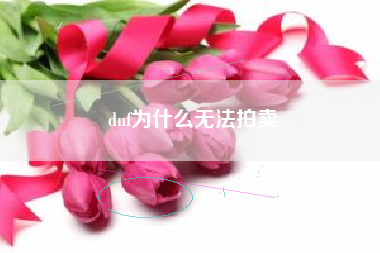 dnf为什么无法拍卖