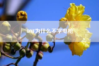 DNF为什么不学电枪