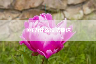 DNF为什么没法传送