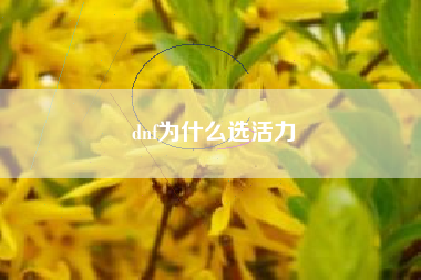 dnf为什么选活力