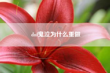 dnf鬼泣为什么重做