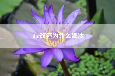 dnf改造为什么淘汰