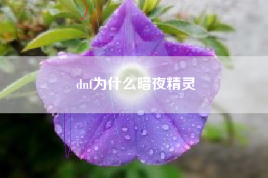 dnf为什么暗夜精灵