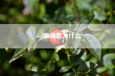 dnf幽魂套为什么