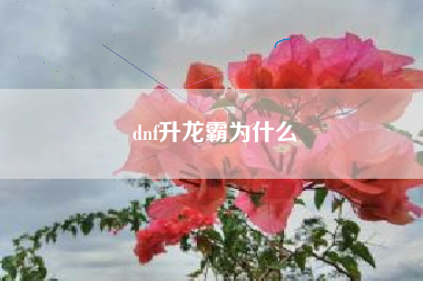 dnf升龙霸为什么