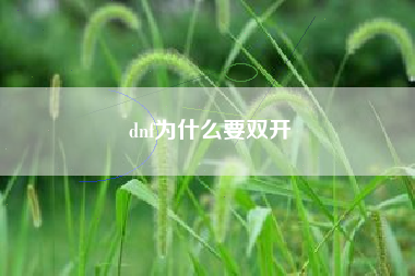 dnf为什么要双开