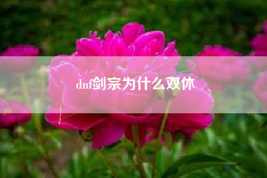 dnf剑宗为什么双休