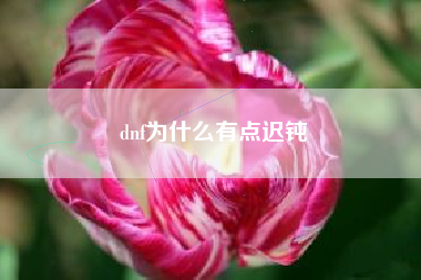 dnf为什么有点迟钝