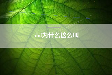 dnf为什么这么叫