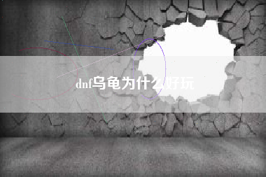 dnf乌龟为什么好玩