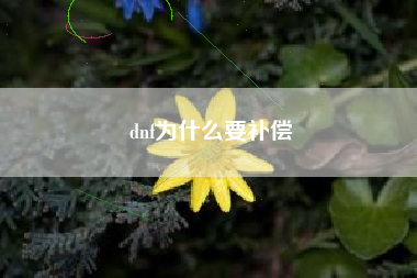 dnf为什么要补偿