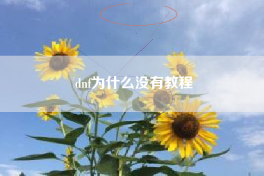 dnf为什么没有教程