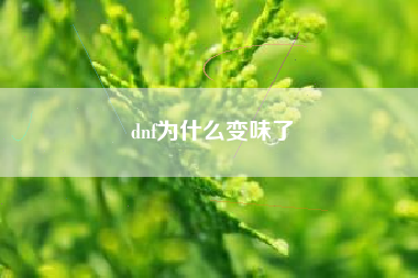 dnf为什么变味了