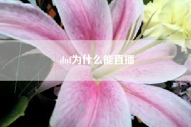 dnf为什么能直播