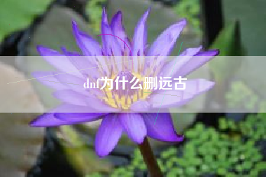 dnf为什么删远古