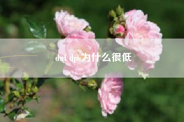 dnf dps为什么很低