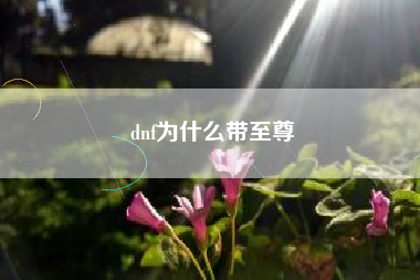 dnf为什么带至尊