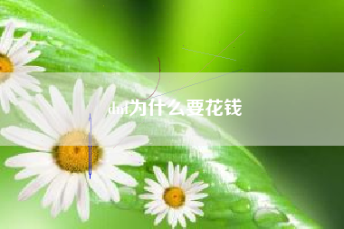 dnf为什么要花钱