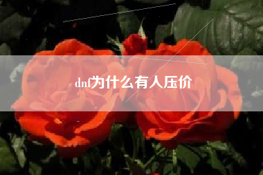 dnf为什么有人压价