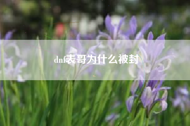 dnf表哥为什么被封