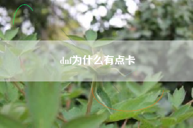 dnf为什么有点卡