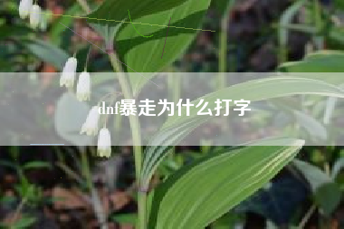 dnf暴走为什么打字