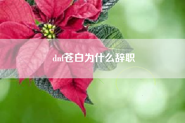 dnf苍白为什么辞职