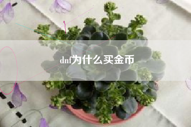 dnf为什么买金币