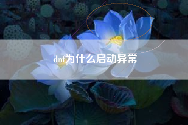 dnf为什么启动异常