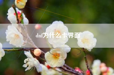 dnf为什么卡界面