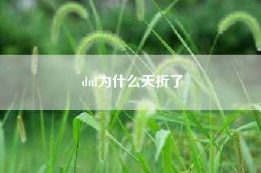 dnf为什么夭折了