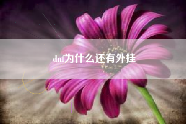 dnf为什么还有外挂